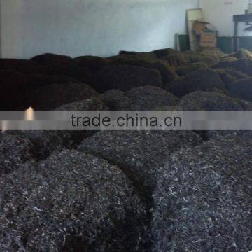 Organic Kelp Cut/ Export to Russia and Ukraine/ Good Healthy Seaweed Food, Wholesale Price photo-2