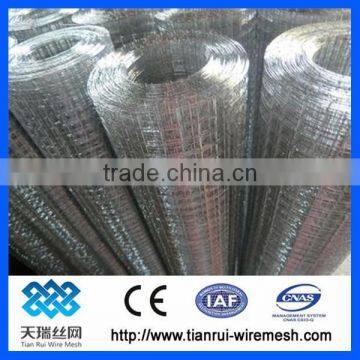 Hot Sale!! Square Welded Wire Mesh(Best Quality, Low Price, 10 Years Direct Factory) photo-2