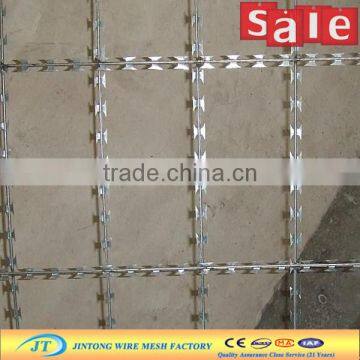 Military Welded Razor Barbed Wire Mesh Fence photo-2