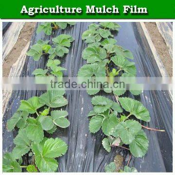 LLDPE plastic black agricultural mulching film for strawberry