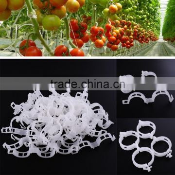 2017 Most Salable Plastic Plant Support Clip for Fruit Vegetables