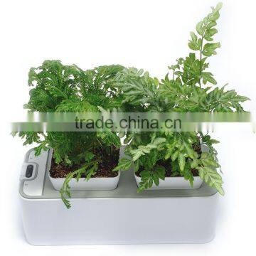 Automatic Mini Plastic Flower Planter photo-4