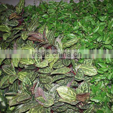 Hot Boutique Cheap Wedding Stage Backdrop Wedding Flower Wall photo-3