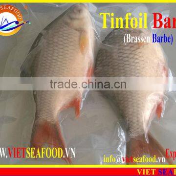 FROZEN W/R RED TAIL TINFOIL BARB