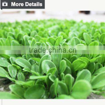 Landscaping Artificial Grass Artificial Ivy Mat for Decoration photo-3
