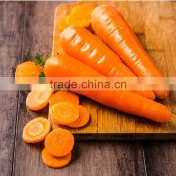 Chinese Fresh Vegetable Fresh Market Carrot photo-2