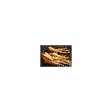 Natural 10~80% Ginsenoside Ginseng Extract