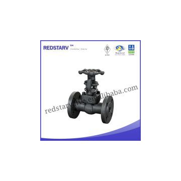 Forged Steel SW/NPT/RF Gate Valve