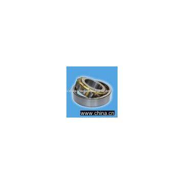 cylindrical roller bearing