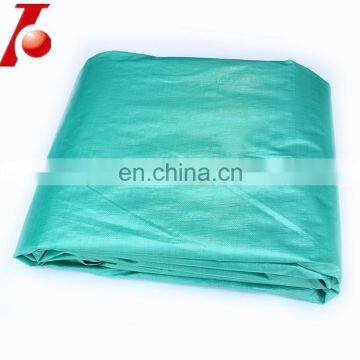 Transparent PE Tarpaulin With UV Resistance