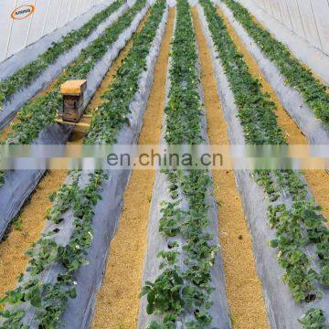 PE Plastic Black-Silver Plastic Mulch Film Punch Hole /agricultural Mulch Film/biodegradable Mulch Film