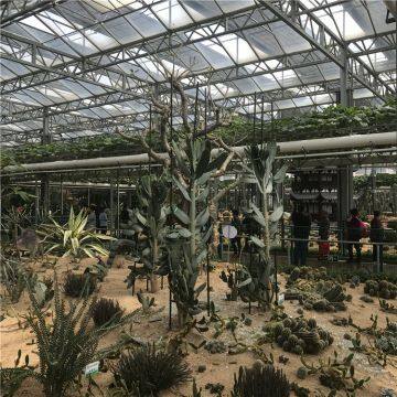 Large Size Multi Span Glass Greenhouse used as Cactus Garden