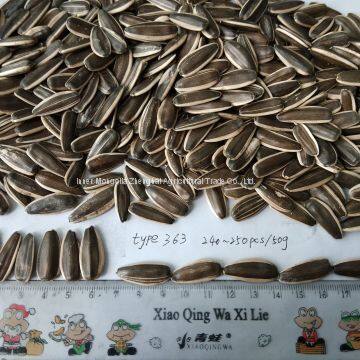 New Crop Sunflower Seed of Type 363 photo-2