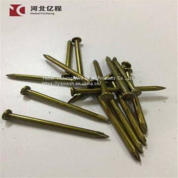 High Quality Steel Wire Nails Manufacturer In China Common Wire Nail Factory photo-4
