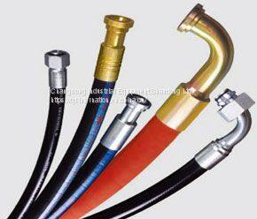 Hose and Hose Assembly