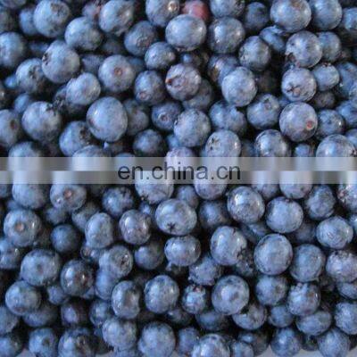 Wild Culticated IQF Frozen Organic Blueberry