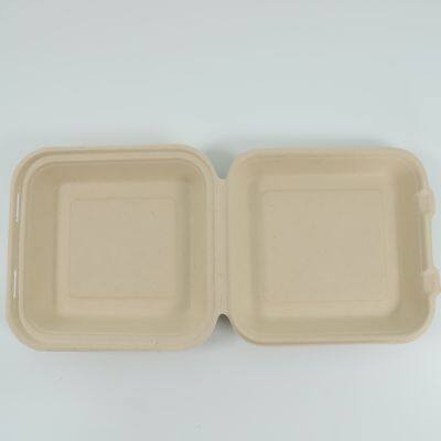 Disposable Lunch Box Salad Box Burger Box photo-2