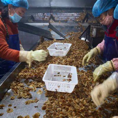 Xiuyan Funong Edible Fungi Production Professional Cooperatives company overview - view 3