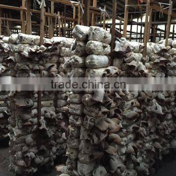 Top quality Frozen black fungus low price iqf frozen fungus