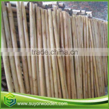 Guangxi Factory Varnished Wooden Handles Broom Stick