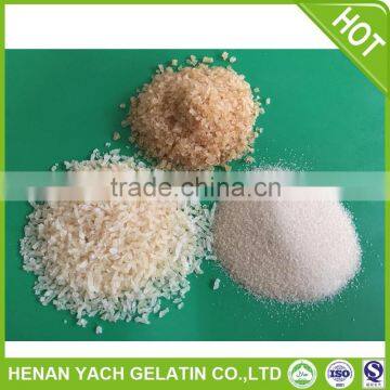 Professional gelatin raw material with Halal certificate