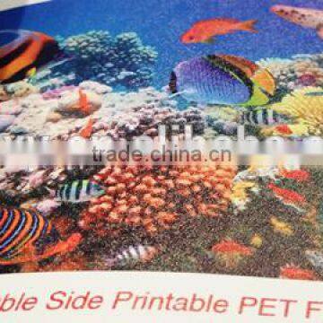 Double Side Printable PET Film