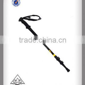 Quick Lock System Carbon Nordic Walking Stick