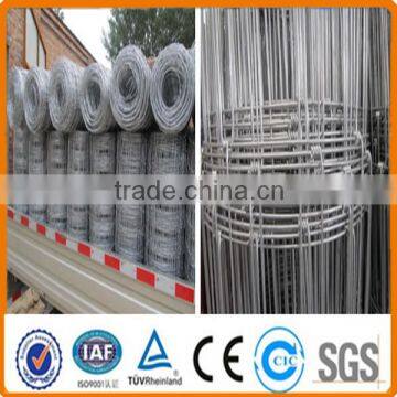 Galvanized deer farm fencing/deer farm fencing(Factory)