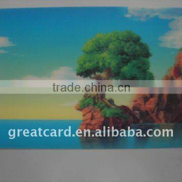 Water Proof Landscape 3D Poster Printing with Adhesive Paper