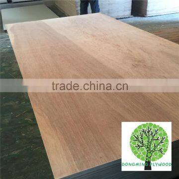 Plywood Support Keruing Veneer Shipping Container Plywood photo-6