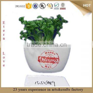 white cup shaped ceramic flowerpot