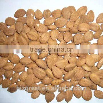 Supply with Chinese Bulk Sweet Apricot Kernels Youyi Type with good quality for Sales