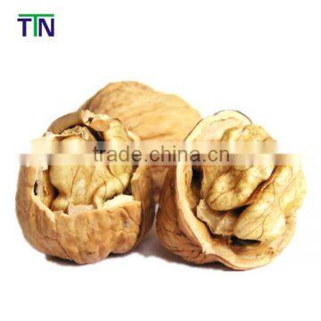 TTN 2015 high-qualified nut walnuts prices walnute