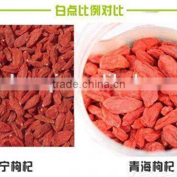 NingXia hot sale fresh dried goji berry