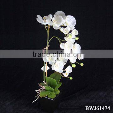 Hot Sale Latex Artificial orchid flower