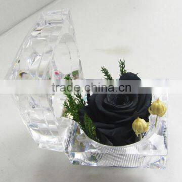 2016 Yiwu Aimee wholesale Valentine's Day gift import preserved fresh cut flower(AM-PF04)