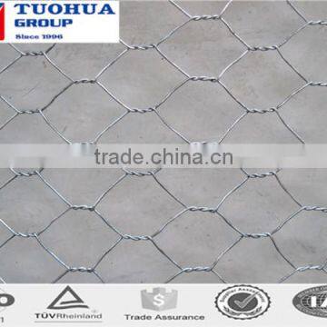 china factory export chicken wire mesh kenya