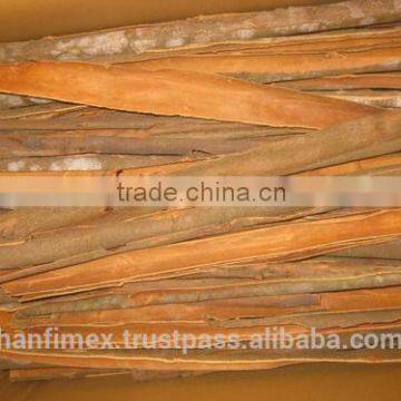 Bulk source Cassia for export