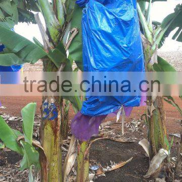 Customized Banana Bunch Protection Bags