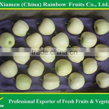 Golden Apple photo-4