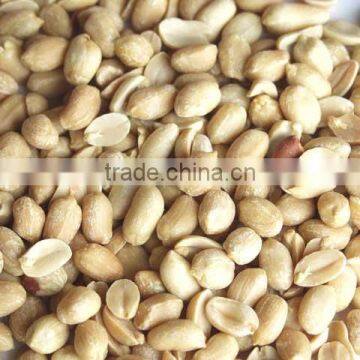 supply shandong best quality blanched peanut