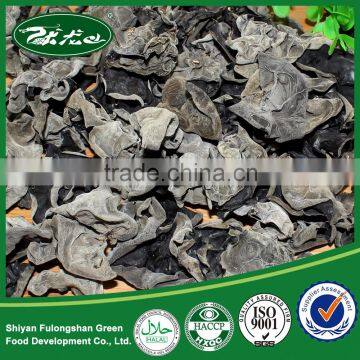 Dried Edible Black Fungus Export Price