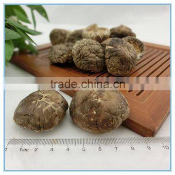 Bulk Dried Shiitake Mushrooms 1 kg without shiitake mushroom chips