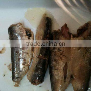 canned sardine in vegetable oil in oil canned fish