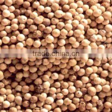 GROUND WHITE PEPPER
