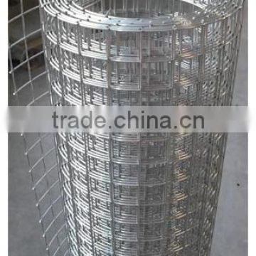 Professional machine manufacture PVC/Galvanized Welded wire mesh