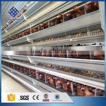 30 Years' factory supply battery chicken breeding