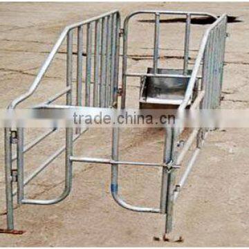 Sow limited crate/ Gestation/stall/pen