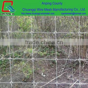 Factory Direct Sale Sports Field Net/ Field Fence/ Farm Guard Netting Fence