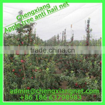 Hot selling! Apple Tree Anti Hail Net